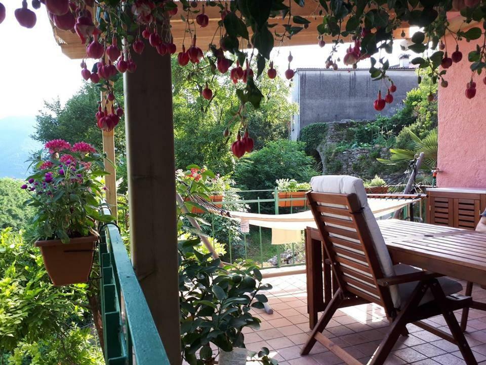 La Casa Rosa Di Segusino With Spa Jacuzzi In Garden Sequsino 外观 照片